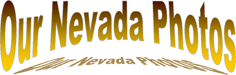 The Nevada WebSite